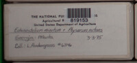 Image Associated With the Occurence